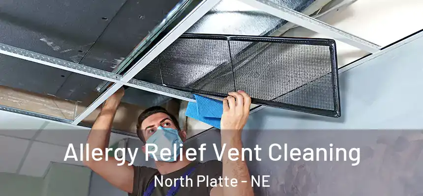 Allergy Relief Vent Cleaning North Platte - NE