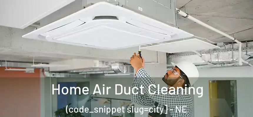  Home Air Duct Cleaning (code_snippet slug=city] - NE
