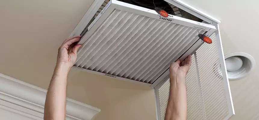 Preventive Cockroach-Proofing for Ducts in North Platte
