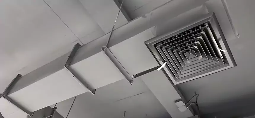 Our Pest Removal From Ducts Services in North Platte, NE