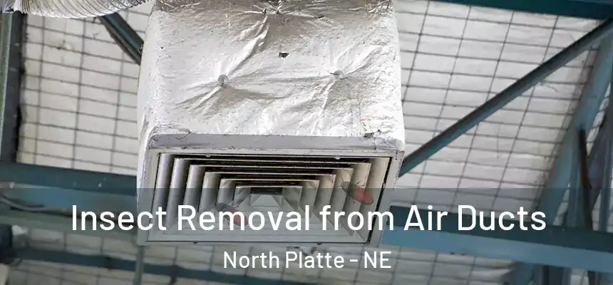  Insect Removal from Air Ducts North Platte - NE