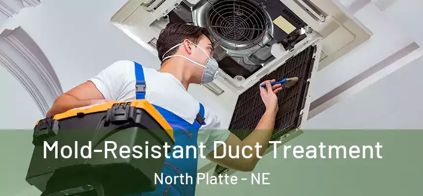  Mold-Resistant Duct Treatment North Platte - NE