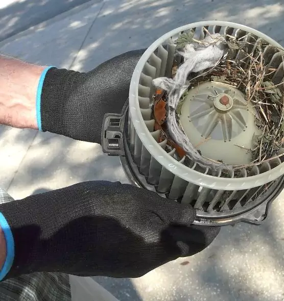 About Air Duct Mice Removal in North Platte, NE