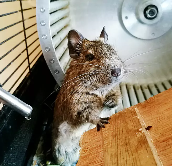 Why Homeowners & Businesses Trust Us North Platte, NE